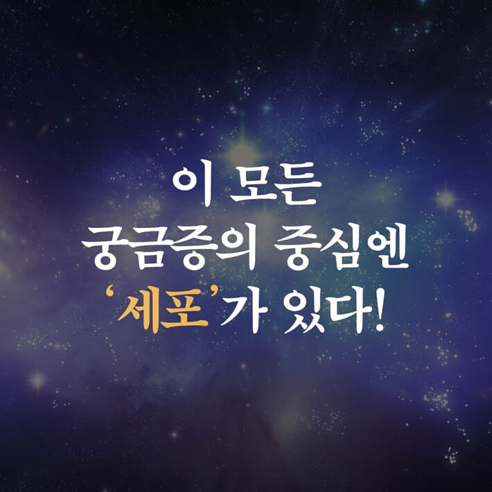 카드뉴스4