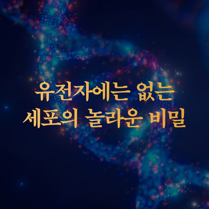 카드뉴스6