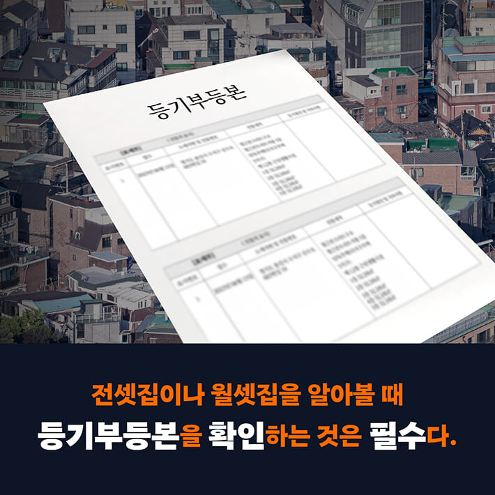 카드뉴스2