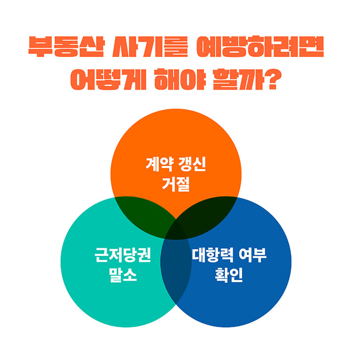 카드뉴스8