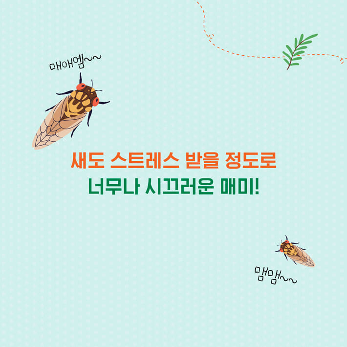 카드뉴스1