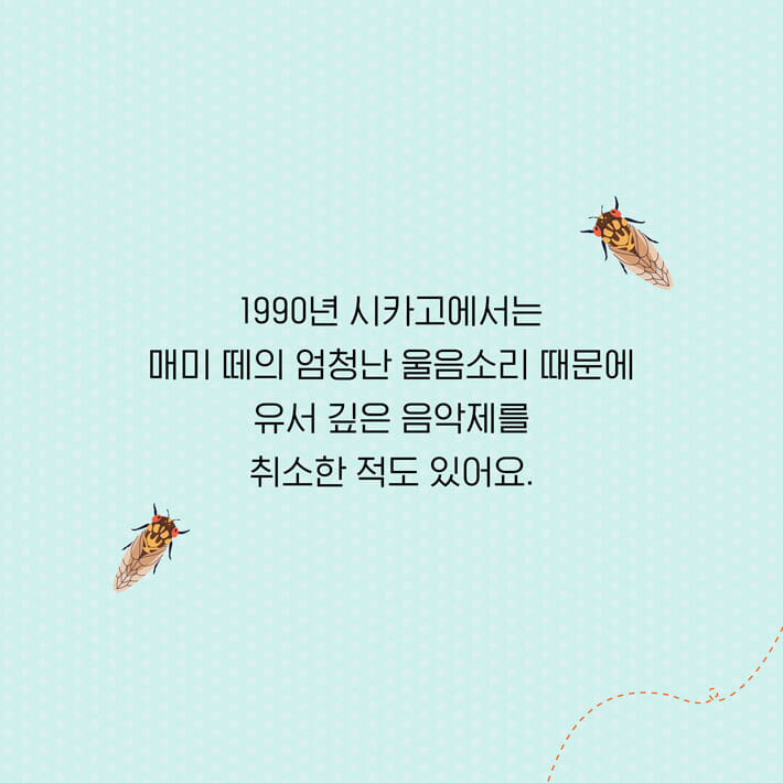 카드뉴스2