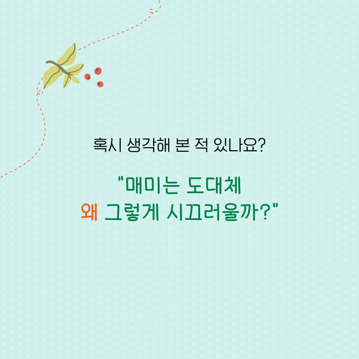 카드뉴스3