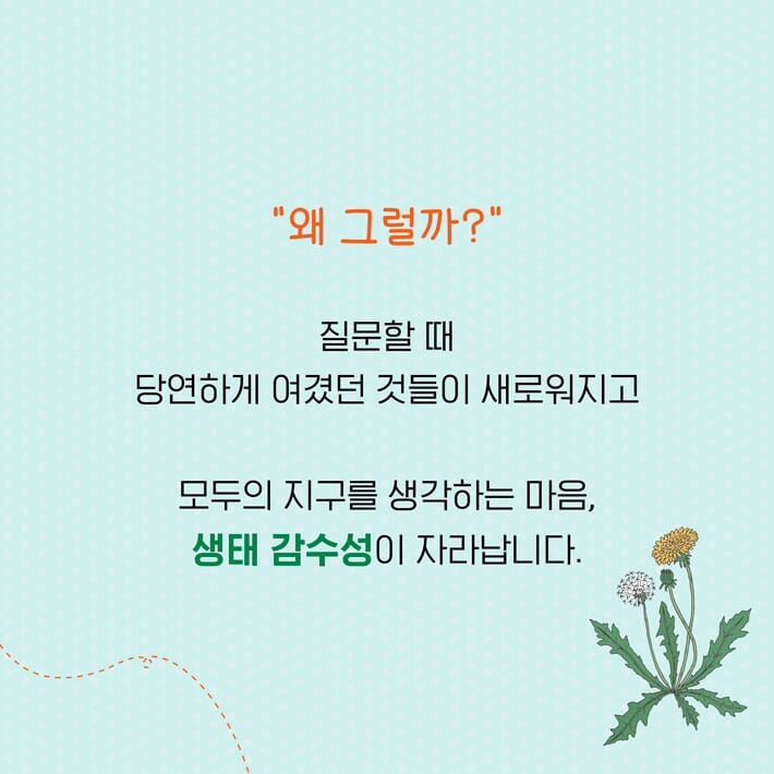 카드뉴스4