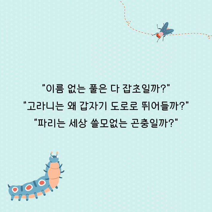 카드뉴스5