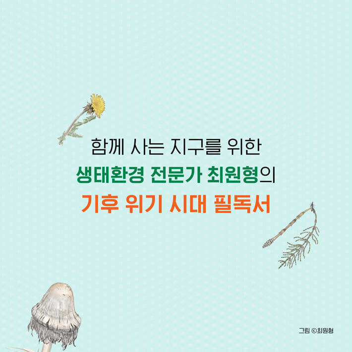 카드뉴스9