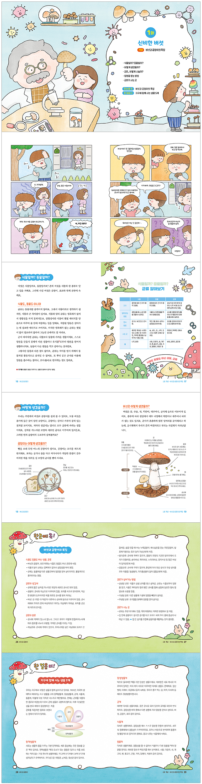 상세 이미지 1