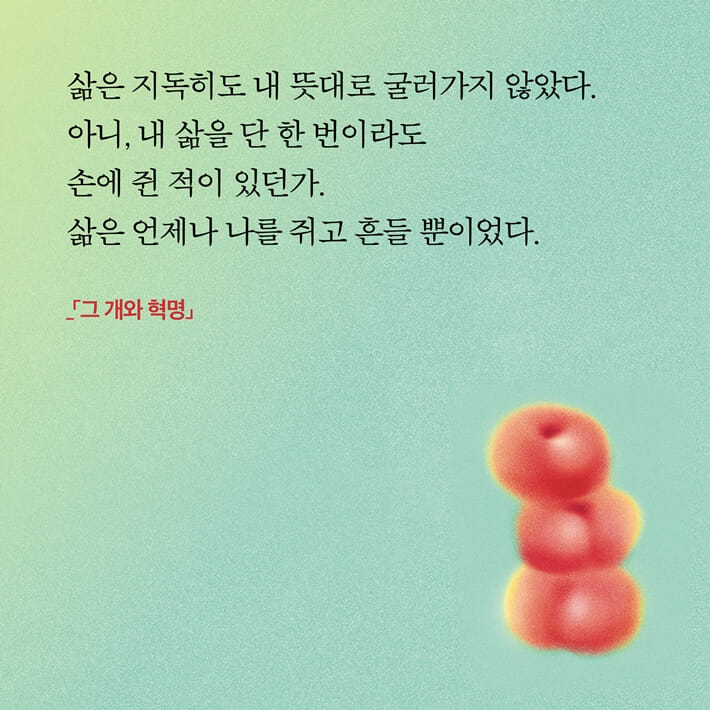 카드뉴스8