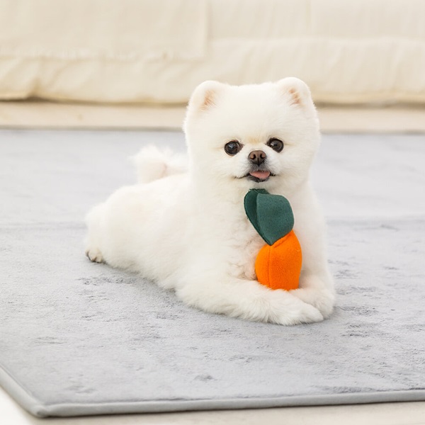 [레토] 강아지 노즈워크 장난감 플라워 소리나는 당근밭 담요매트 (LDG-NW02)