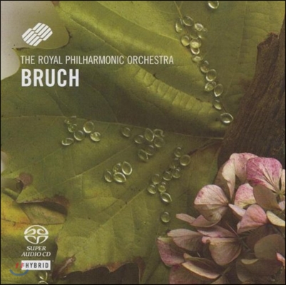 Royal Philharmonic Orchestra 브루흐: 바이올린 협주곡 1번 (Bruch: Violin Concerto No.1 Op.26, Scottish Fantasy Op.46)