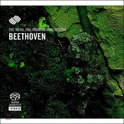 Royal Philharmonic Orchestra 베토벤: 교향곡 4번, 헌당식 서곡, 웰링턴의 승리 서곡 (Beethoven: Symphony No.4 Op.60)