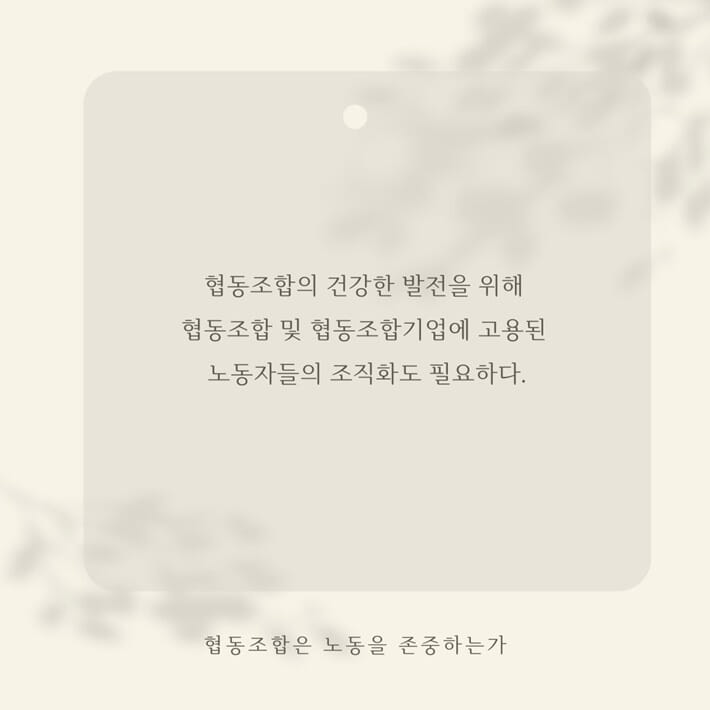 카드뉴스8