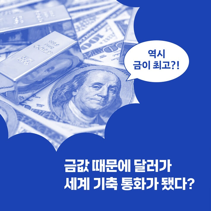 카드뉴스6