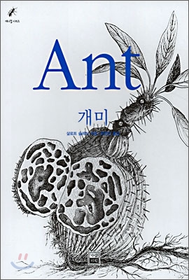 개미 Ant