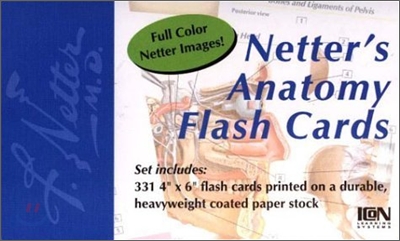 Netter's Anatomy Flash Cards