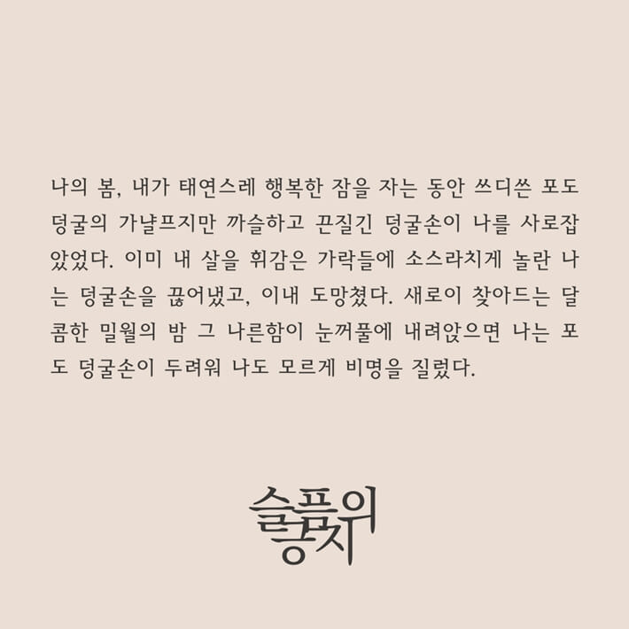 카드뉴스2