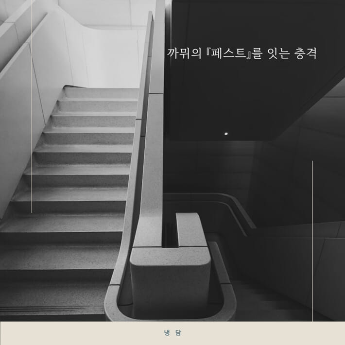 카드뉴스5