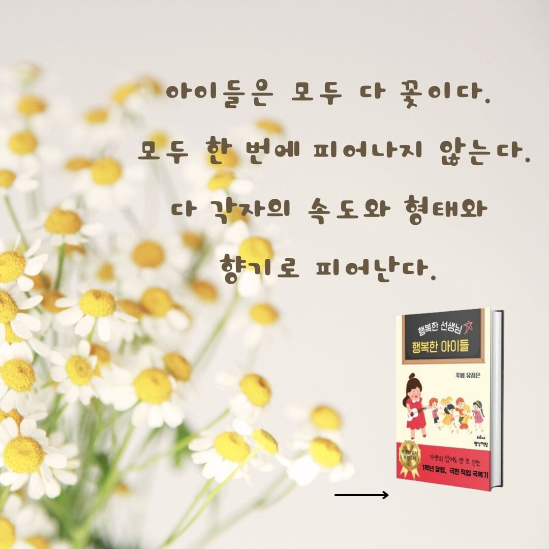 카드뉴스