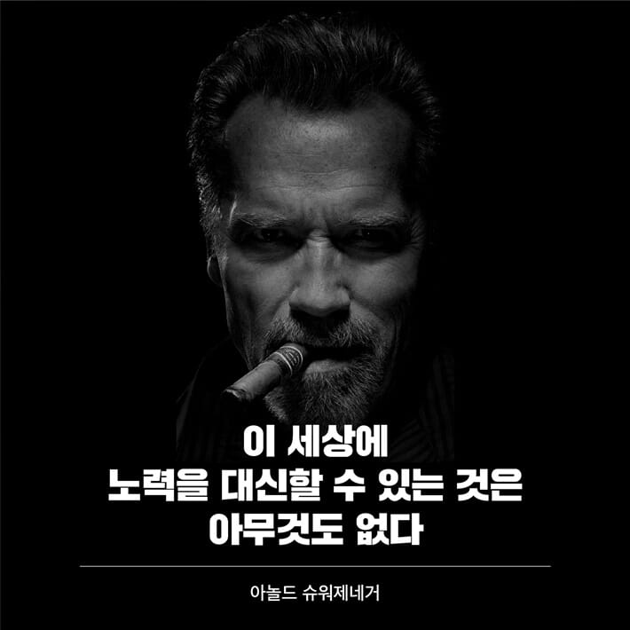 카드뉴스7