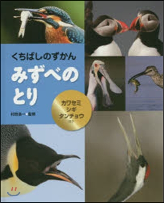 みずべのとり カワセミ.シギ.タンチョウ