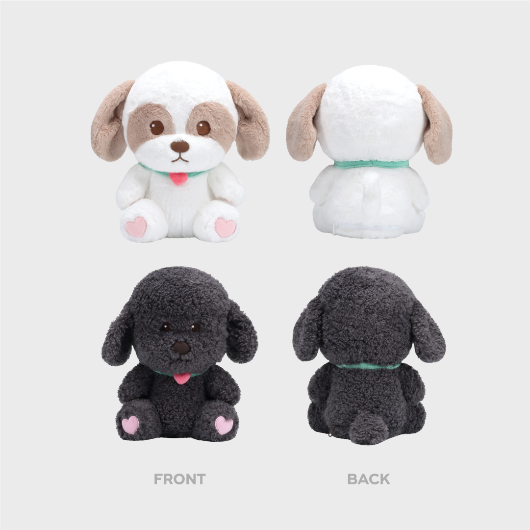 ZZAR ver.] 40CM DOLL [2024 CHANYEOL LIVE TOUR : 都市風景 (City