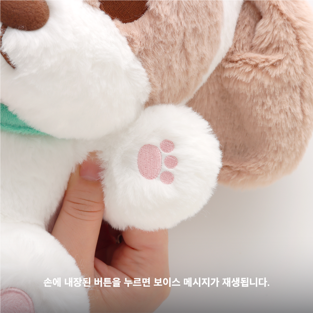 ZZAR ver.] 40CM DOLL [2024 CHANYEOL LIVE TOUR : 都市風景 (City