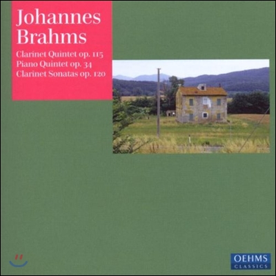 Ralph Manno 브람스: 클라리넷 오중주, 피아노 오중주, 클라리넷 소나타 (Brahms: Clarinet Quintet Op.115, Piano Quintet Op.34, Clarinet Sonatas Op.120)