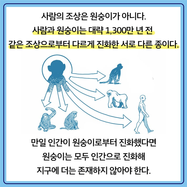 카드뉴스8