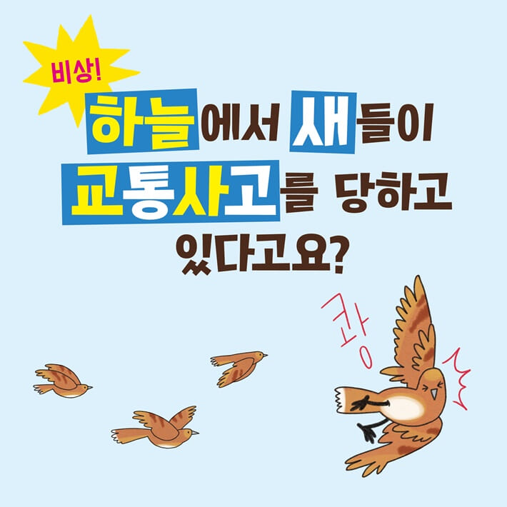 카드뉴스1