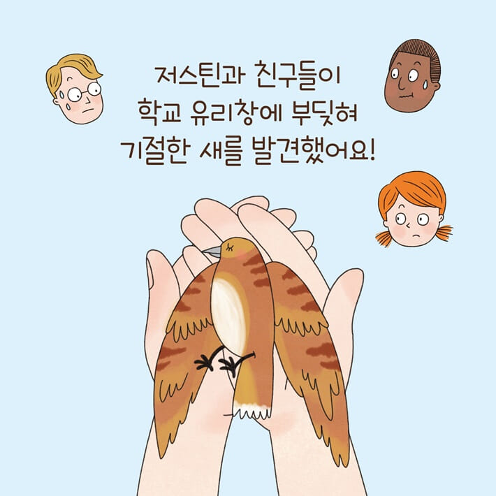 카드뉴스2