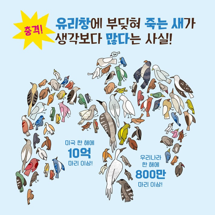 카드뉴스4