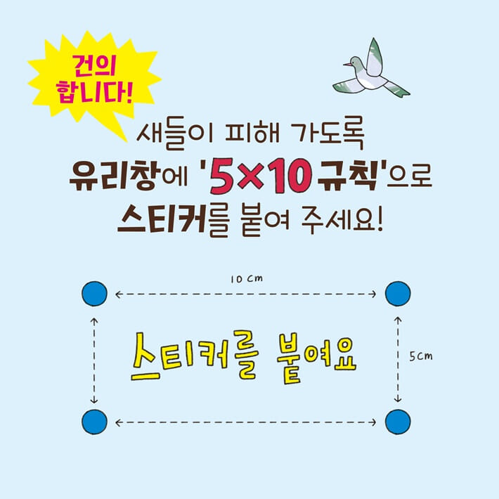 카드뉴스6