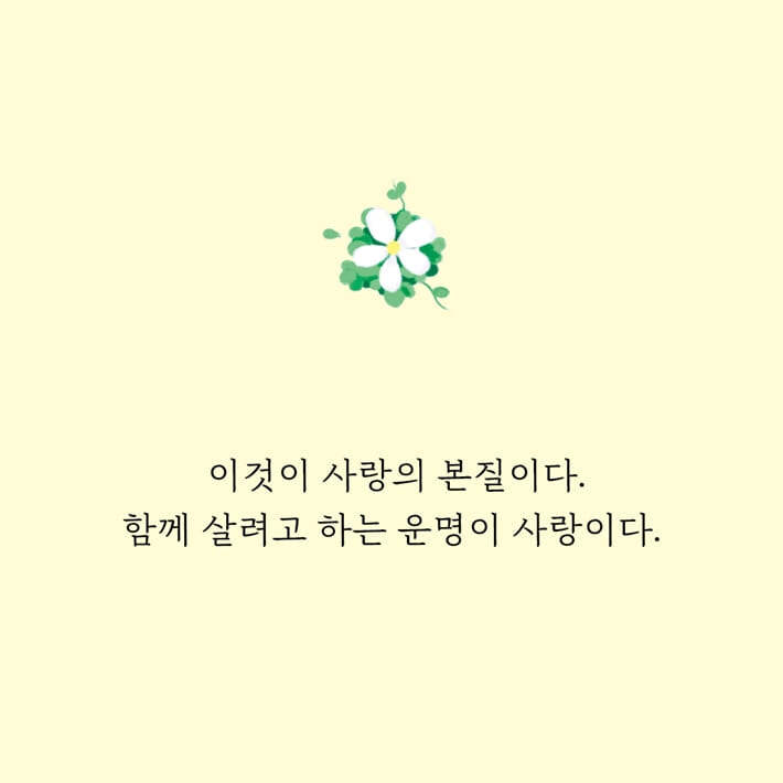 카드뉴스3