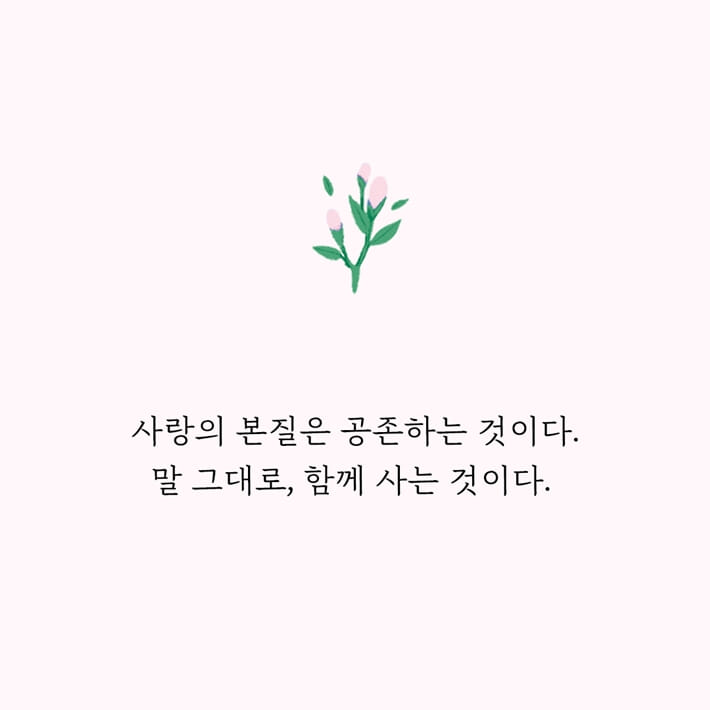 카드뉴스4