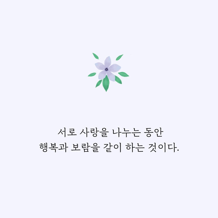 카드뉴스6