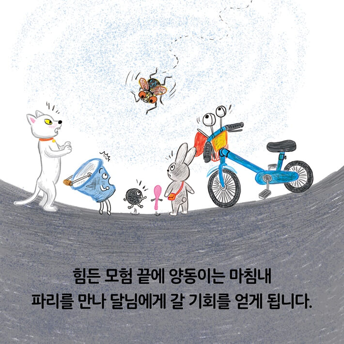 카드뉴스7