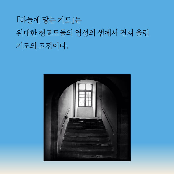 카드뉴스4