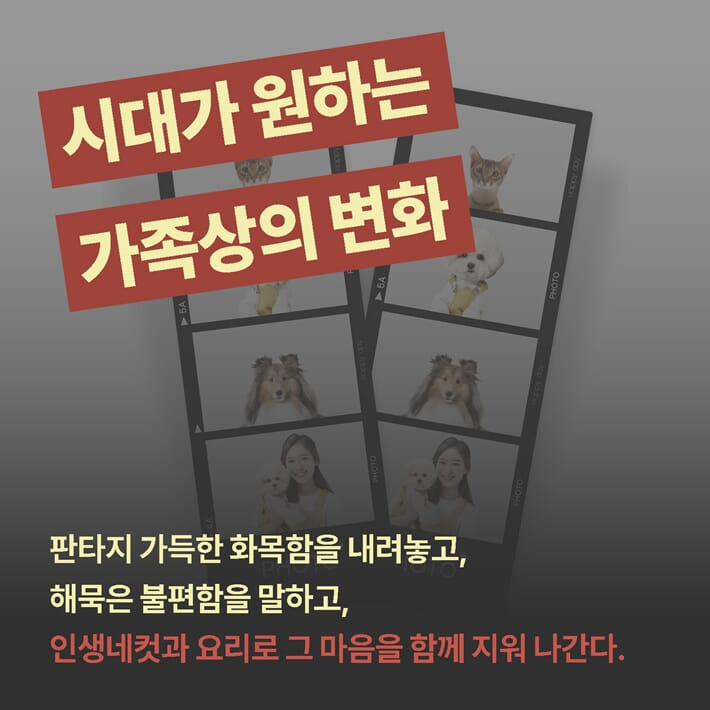 카드뉴스4