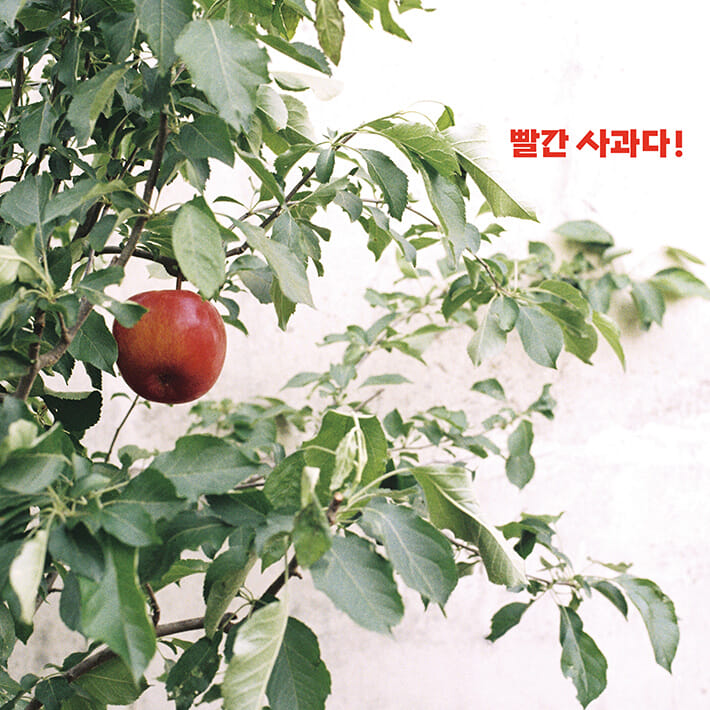 카드뉴스6