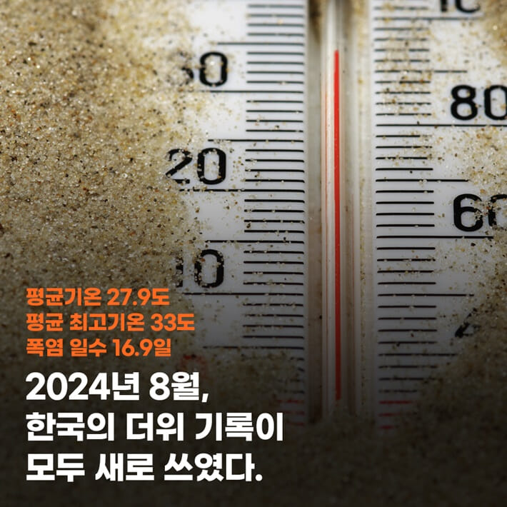 카드뉴스1