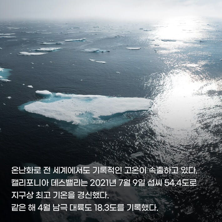 카드뉴스2