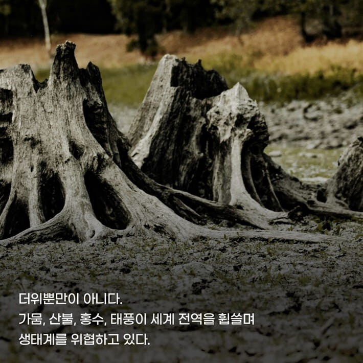 카드뉴스3