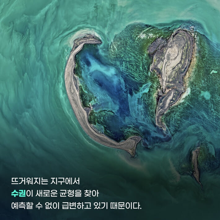 카드뉴스4
