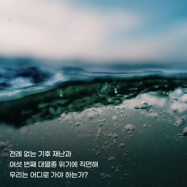 카드뉴스5