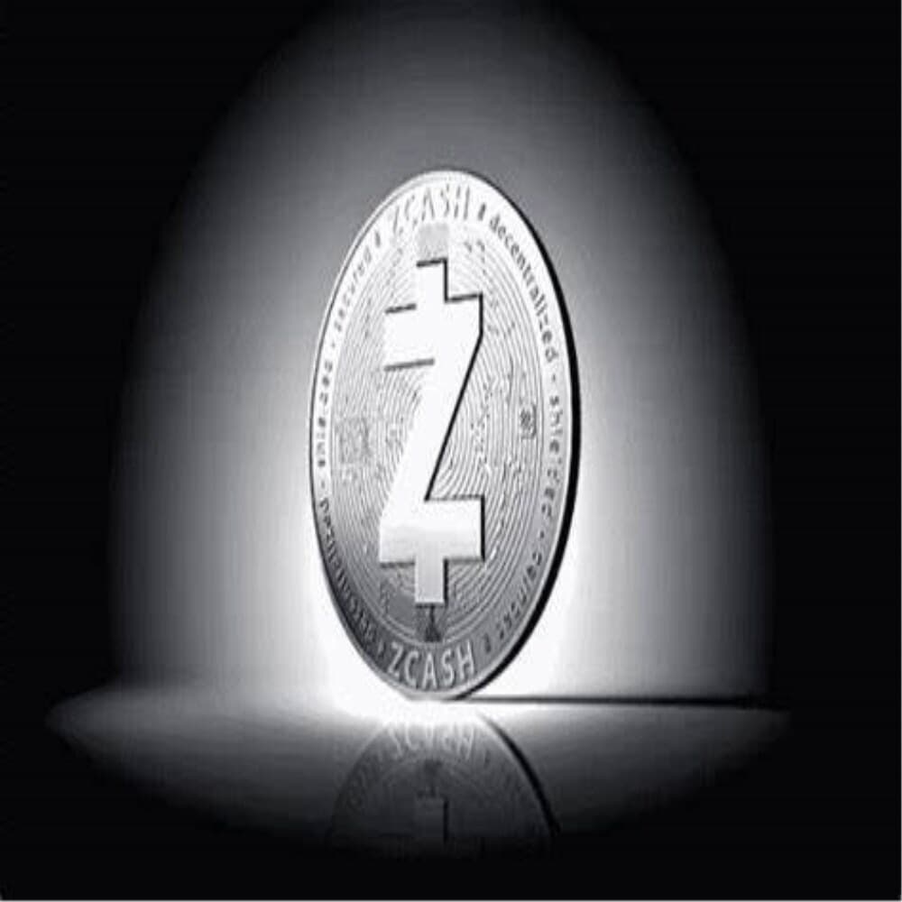 프로 지캐시코인 데코 장식주화 가상암호화폐 ZCash coin | 프로메딕 - 예스24