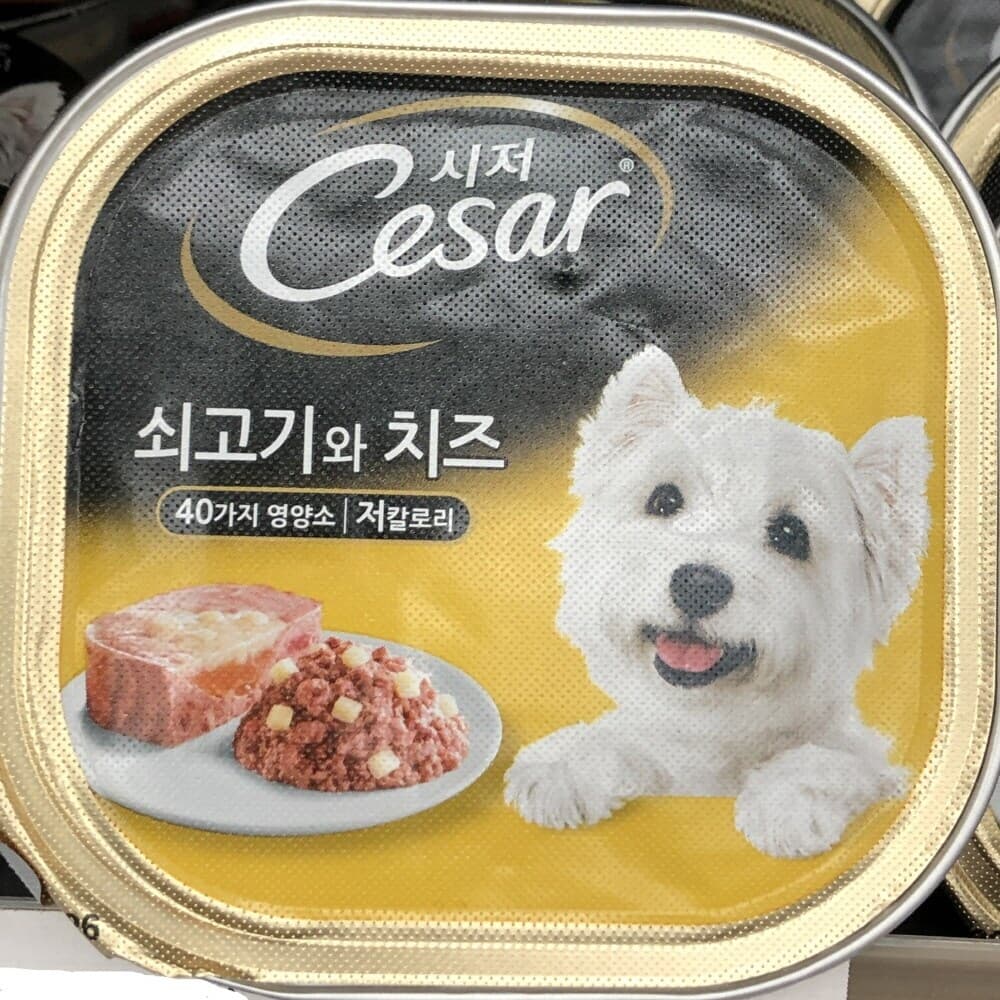 프로 시저 Cesar 쇠고기와 치즈 애견 반려견 사료 100g