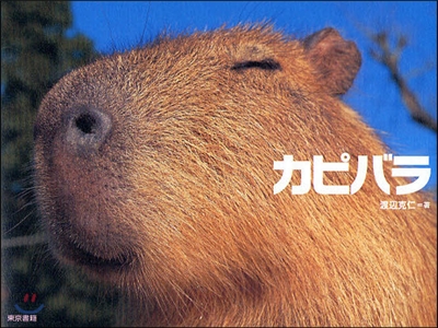 カピバラ