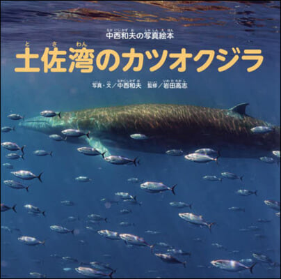 中西和夫の寫眞繪本土佐灣のカツオクジラ