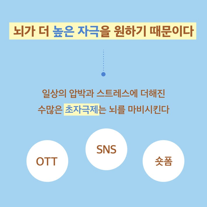 카드뉴스2