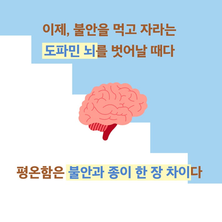 카드뉴스4